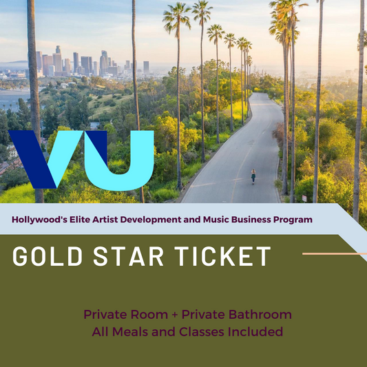VU 2024- Gold Star Ticket (Private Room + Private Bathroom)